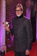 Amitabh Bachchan at Stardust Awards 2013 red carpet in Mumbai on 26th jan 2013 (648).JPG